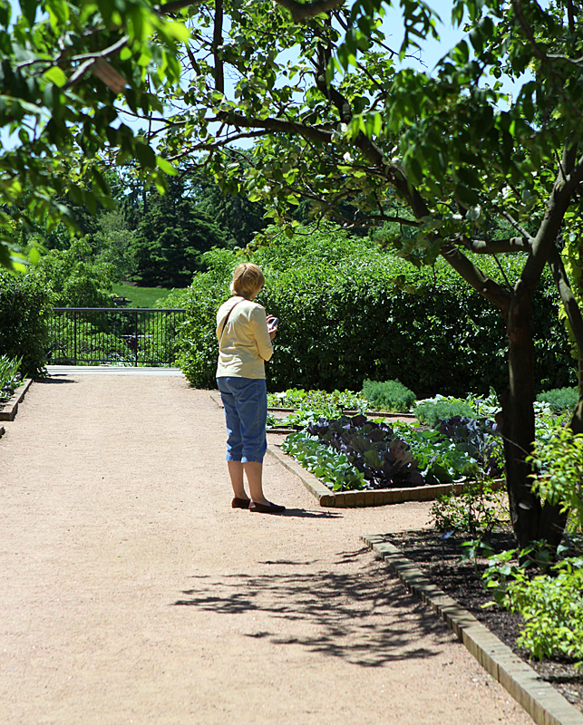 Glencoe Botanic Gardens, May 2010