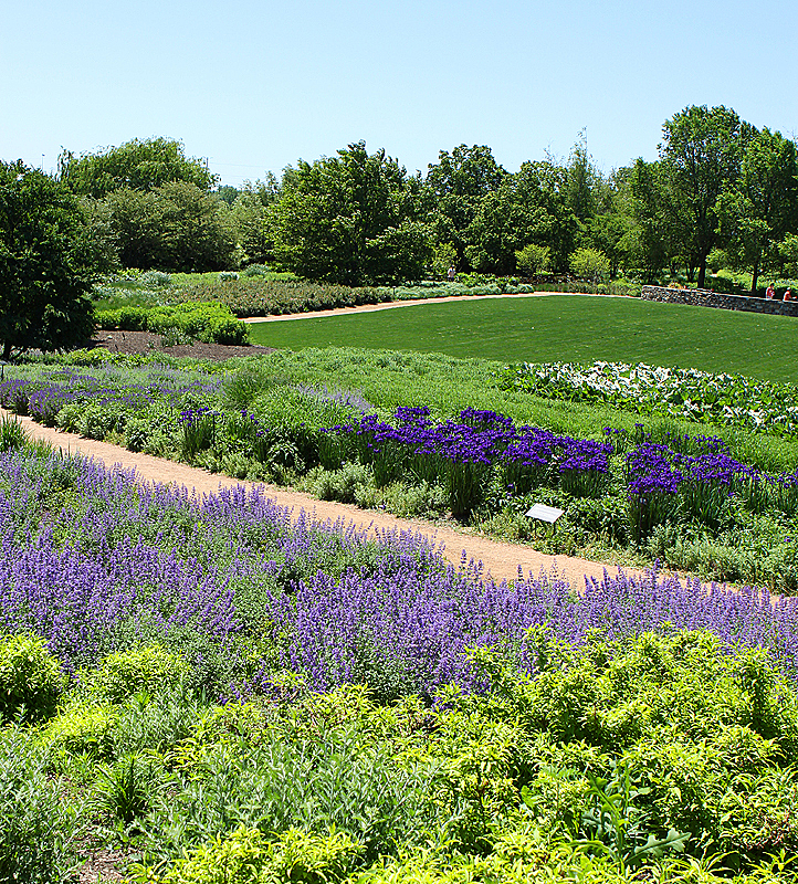 Chicago Botanic Gardens, May 2010