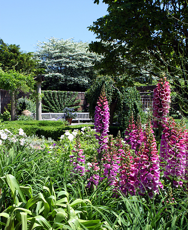 Glencoe Botanic Gardens, May 2010