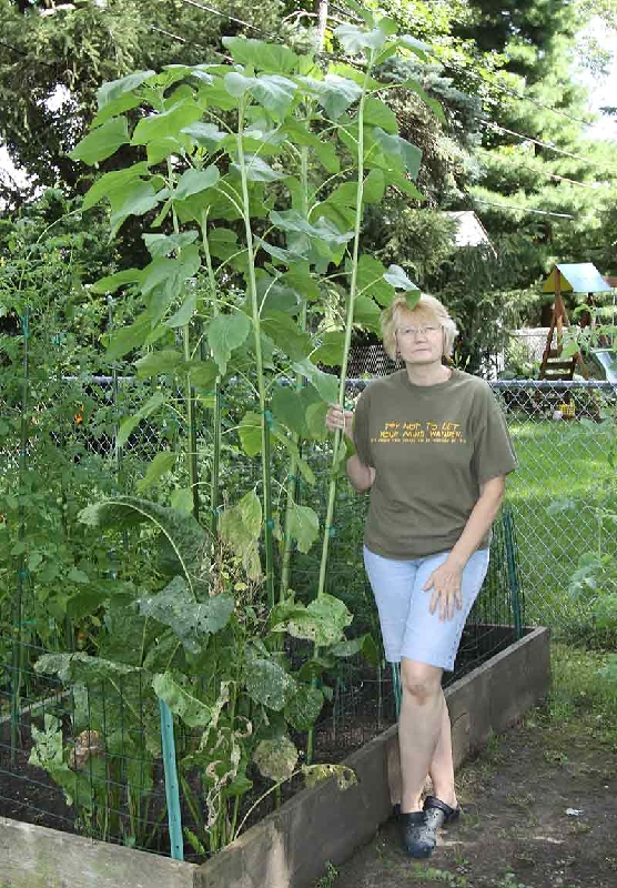 Big buggers. Nice. 2011 planting.