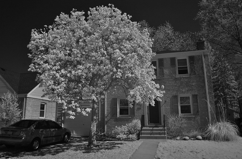 Just for fun - an IR photo of our house/tree