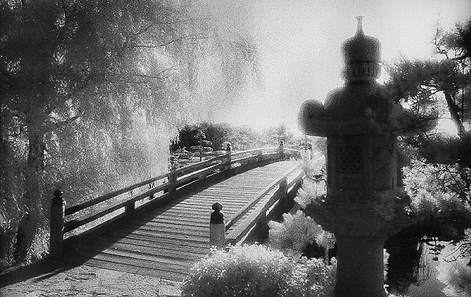 Japanese Bridge, Chicago Botanic Garden, Glencoe, IL (infrared film)