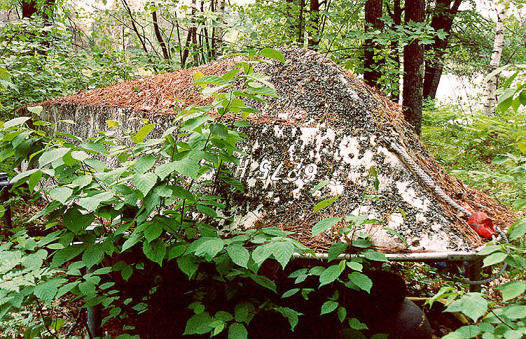 Boat in woods, Upper Penninsula, MI