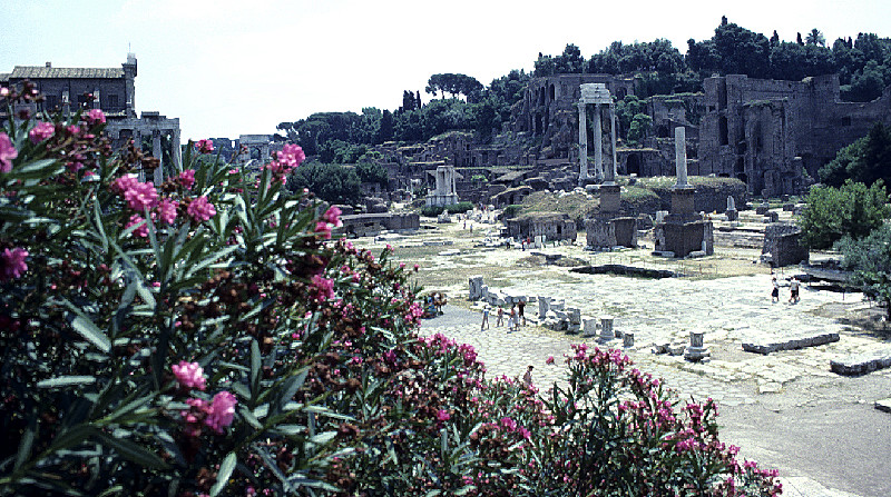 Roman Forum (ruins); 1979
