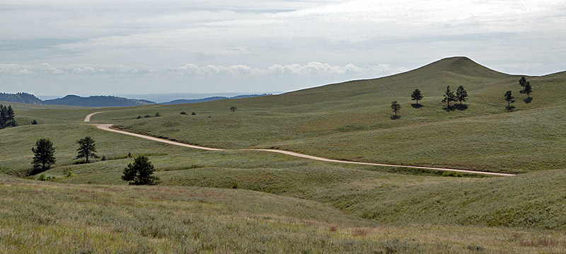 Custer State Park, SD
