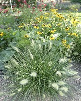 New Flower Bed Taking