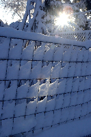 Snowstorm, fences