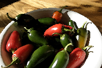 A Rainbow of Homegrown Peppers