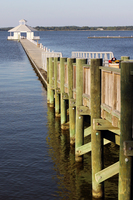 dc2010_0077.jpg