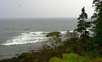 Stormy weather, east coast of Mount Desert