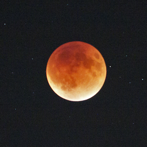 Hard to really capture in the burbs. ISO high so some noise, but stars behind the moon.