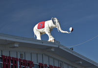 White Elephant "Hood Ornament"