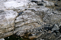 Eroded rocks, low tide