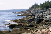 Maine Coastline, low tide