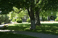 Conrad Mansion, Kalispell, MT