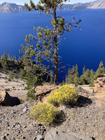 Crater Lake, OR