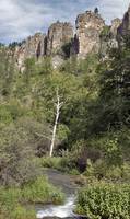 Spearfish Creek - this dribble of water - has helped carve this canyon