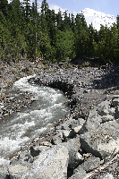 Mount Rainier  - First Glimpse