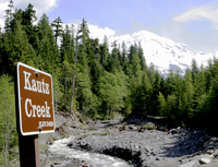 Mount Rainier, from Kautz Creek